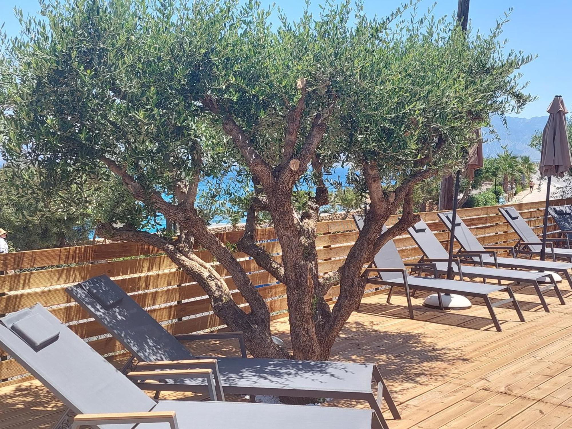 Beachfront Phi φ Villa